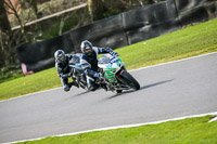 Oulton-Park-21st-March-2020;PJ-Motorsport-Photography-2020;anglesey;brands-hatch;cadwell-park;croft;donington-park;enduro-digital-images;event-digital-images;eventdigitalimages;mallory;no-limits;oulton-park;peter-wileman-photography;racing-digital-images;silverstone;snetterton;trackday-digital-images;trackday-photos;vmcc-banbury-run;welsh-2-day-enduro